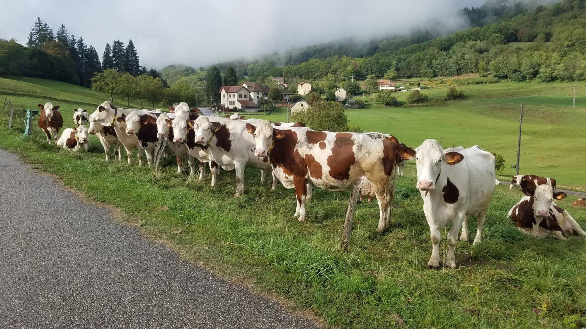 Un Pied Devant L'Autre Sainte-Marie-D'Alvey Zewnętrze zdjęcie